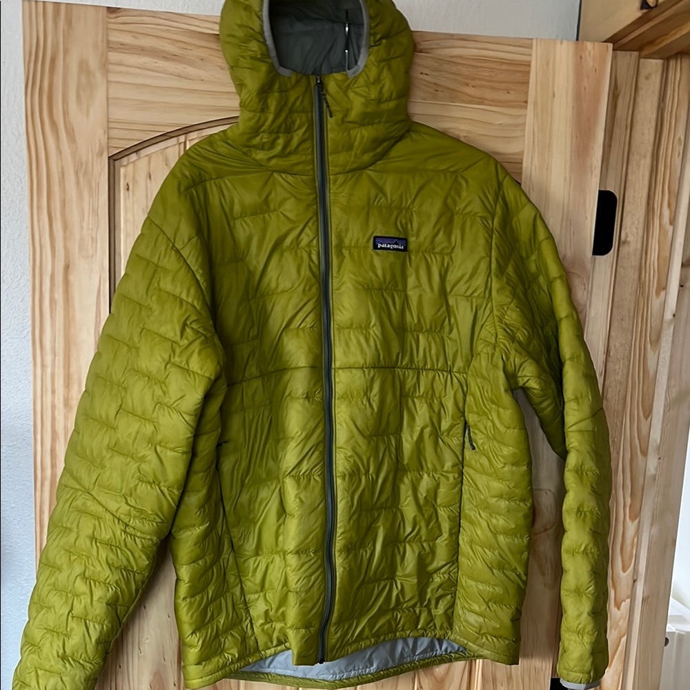 Patagonia Men's Micropuff hooded jacket